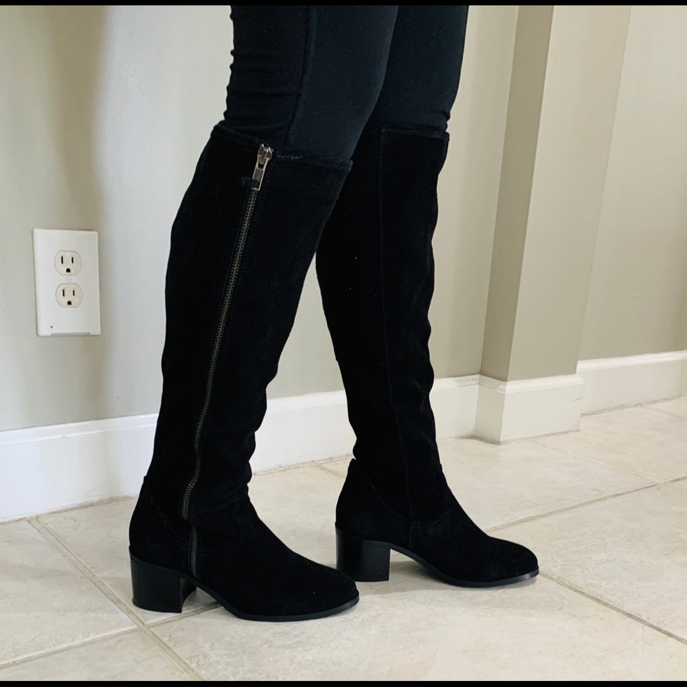 Steve Madden suede knee high boots